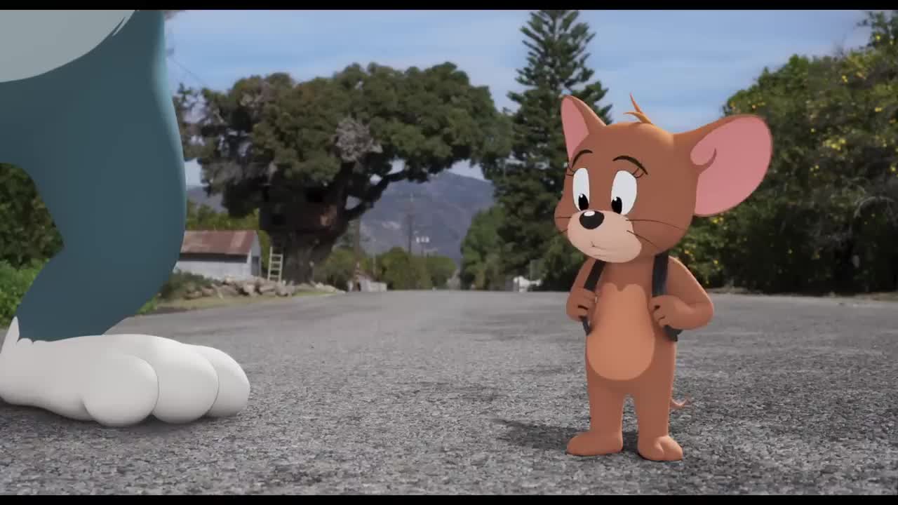 Videos