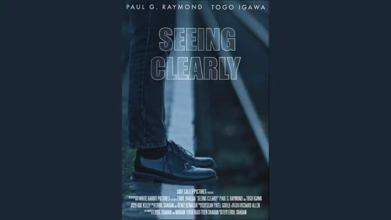 Seeing Clearly