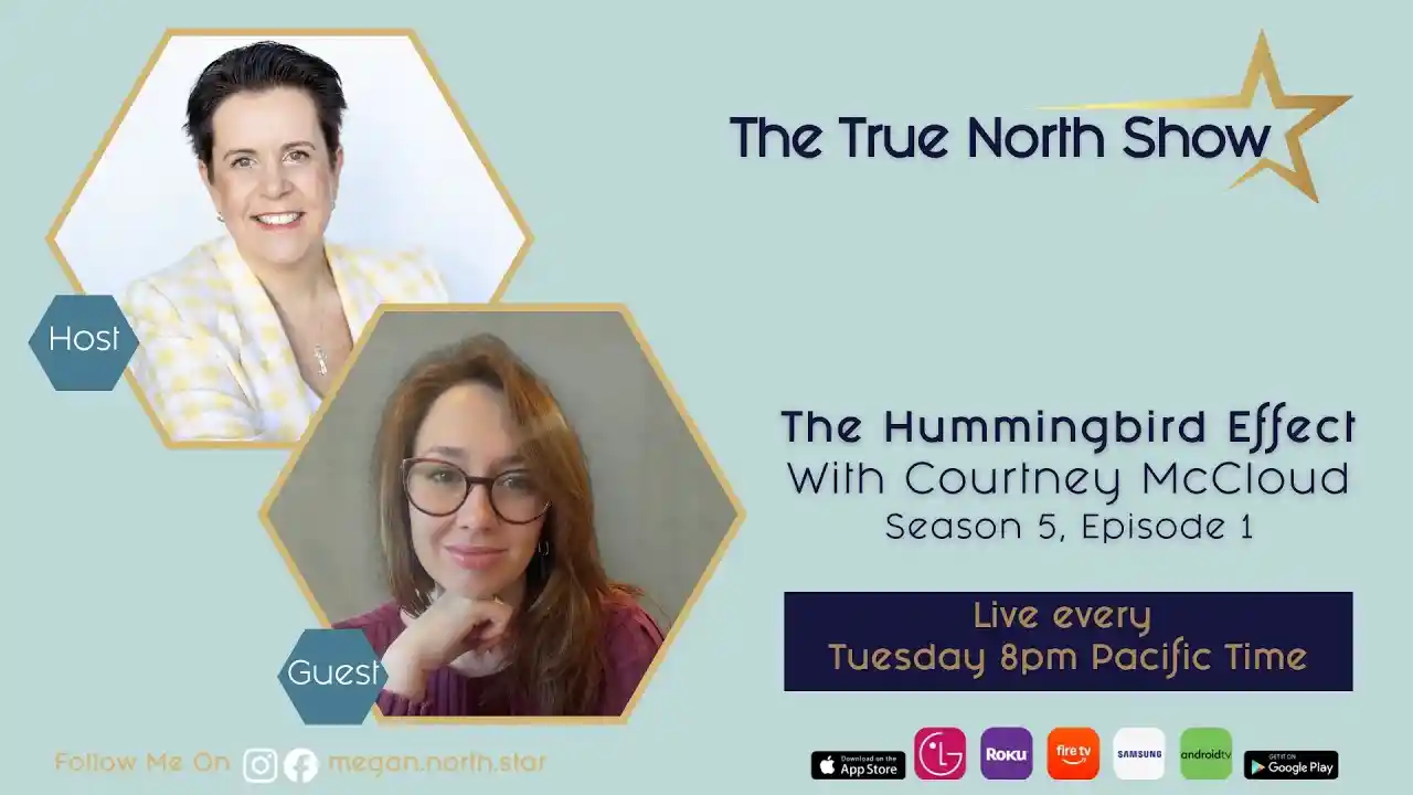 S5Ep1 - The Hummingbird Effect