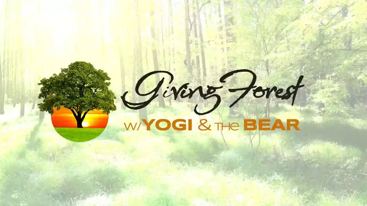 The Giving Forest with Yogi and the Bear