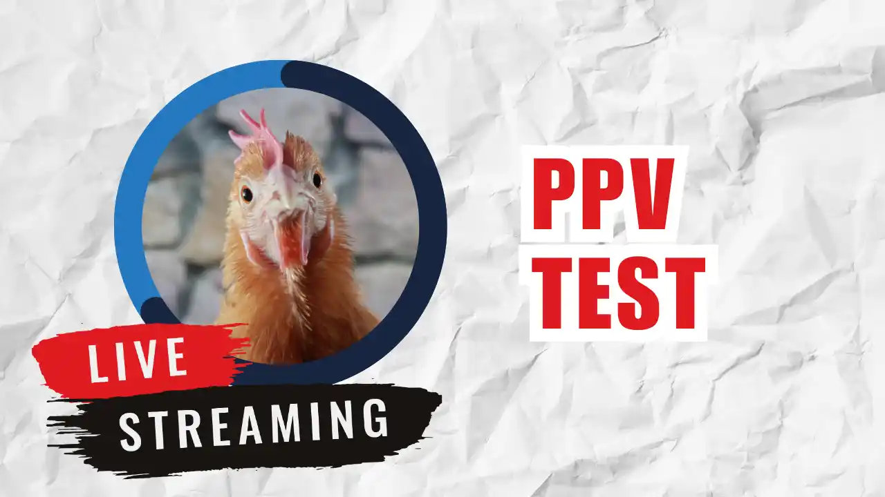 Test Live Stream