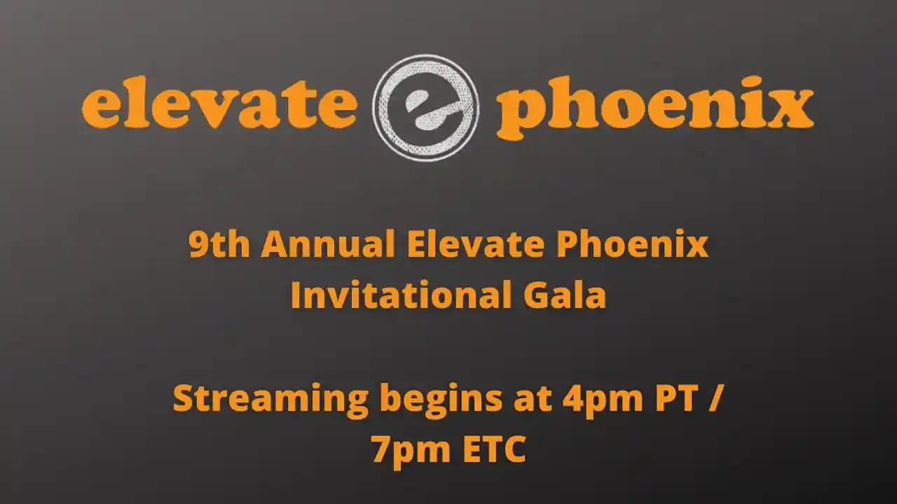 9th Annual Elevate Phoenix Gala and Auction